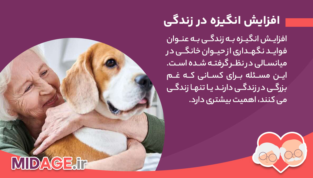 فواید نگهداری از حیوان خانگی در میانسالی