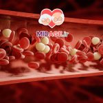 روش های موثر برای جلوگیری از افزایش کلسترول خون در میانسالی