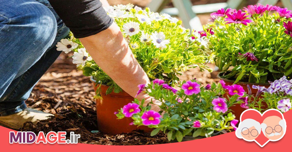فواید پرورش گل و گیاه در سالمندی 