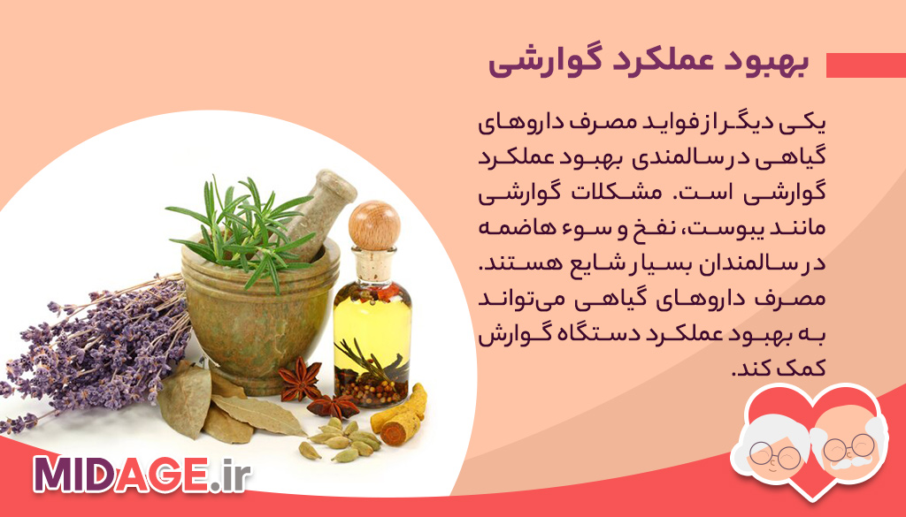فواید مصرف داروهای گیاهی در سالمندی