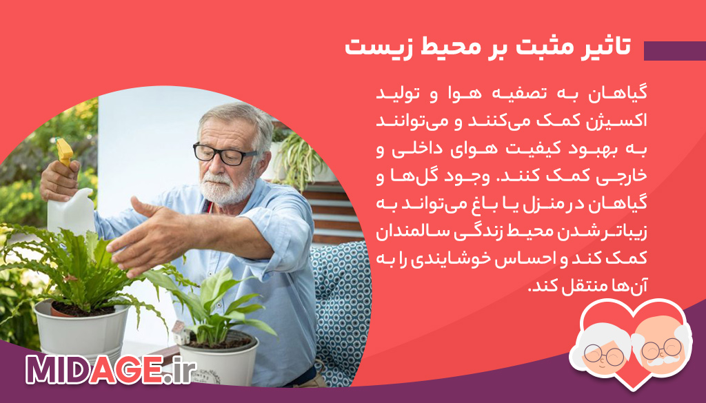 فواید پرورش گل و گیاه در سالمندی