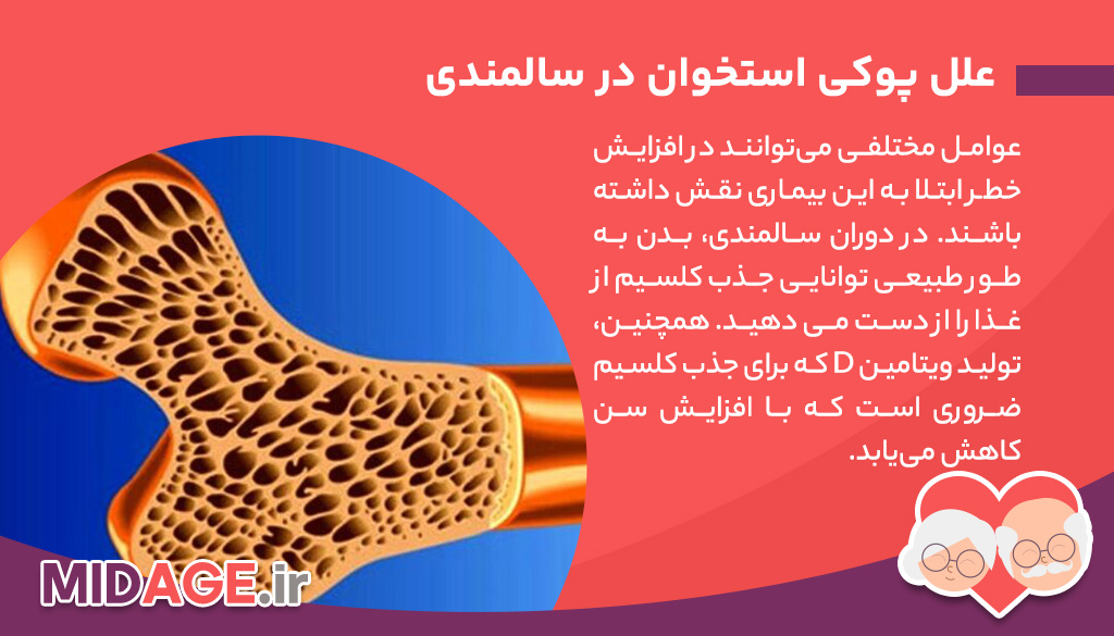 پوکی استخوان در سالمندی و راهکارهای مقابله با آن