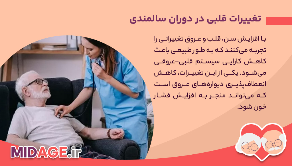 نقش سلامت قلب در سالمندی، راهکارهای مناسب برای تجربه سلامتی