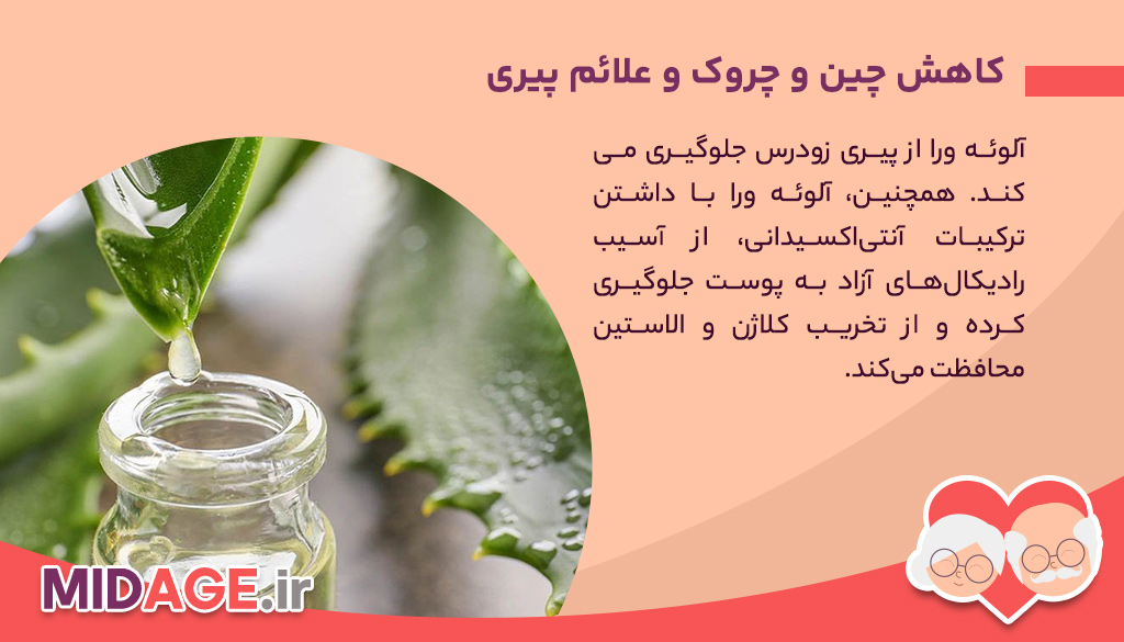 فواید مصرف آلوئه ورا برای پوست در میانسالی + 10 فایده شگفت آور