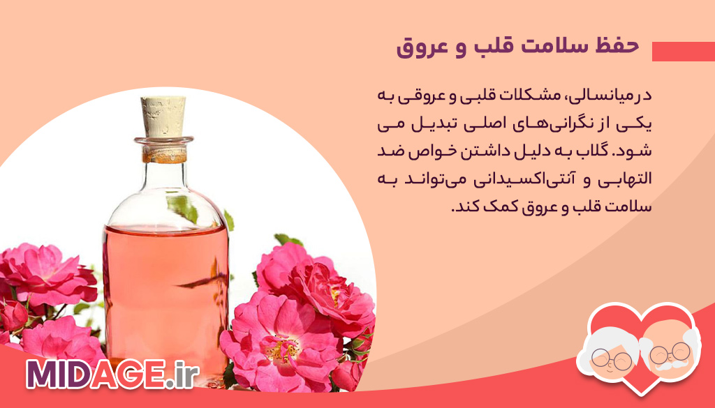 فواید مصرف گلاب در میانسالی + مواردی شگفت انگیز در مورد مصرف گلاب