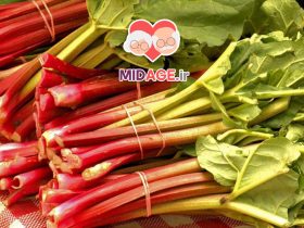 خواص ریواس در میانسالی: تقویت سلامتی و پیشگیری از بیماریها خواص ریواس در میانسالی: تقویت سلامتی و پیشگیری از بیماریها