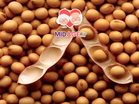 خواص سویا در پیری+ بر پایه مطالعات نوین