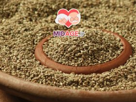 خواص زنیان در پیری: تقویت سلامتی و پیشگیری از بیماری‌ها