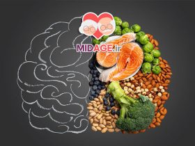 فواید تغذیه سالم بر سلامت روان: پایه‌ای برای زندگی شاد و متعادل