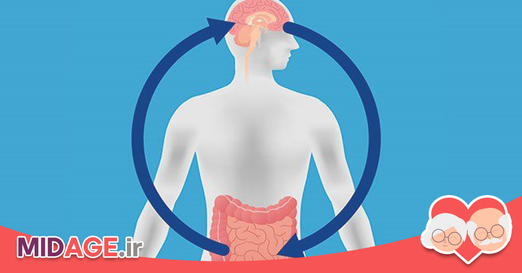 مشکلات گوارشی در سالمندی+ آشنایی با 5 علت مهم مشکلات گوارشی در سالمندی+ آشنایی با 5 علت مهم