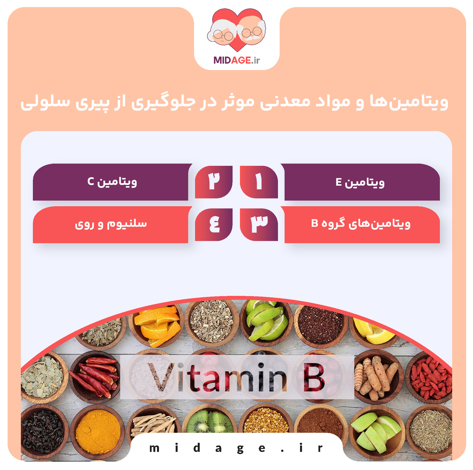 اثرات تغذیه بر پیری سلولی: کلیدی برای حفظ جوانی و سلامت بدن
