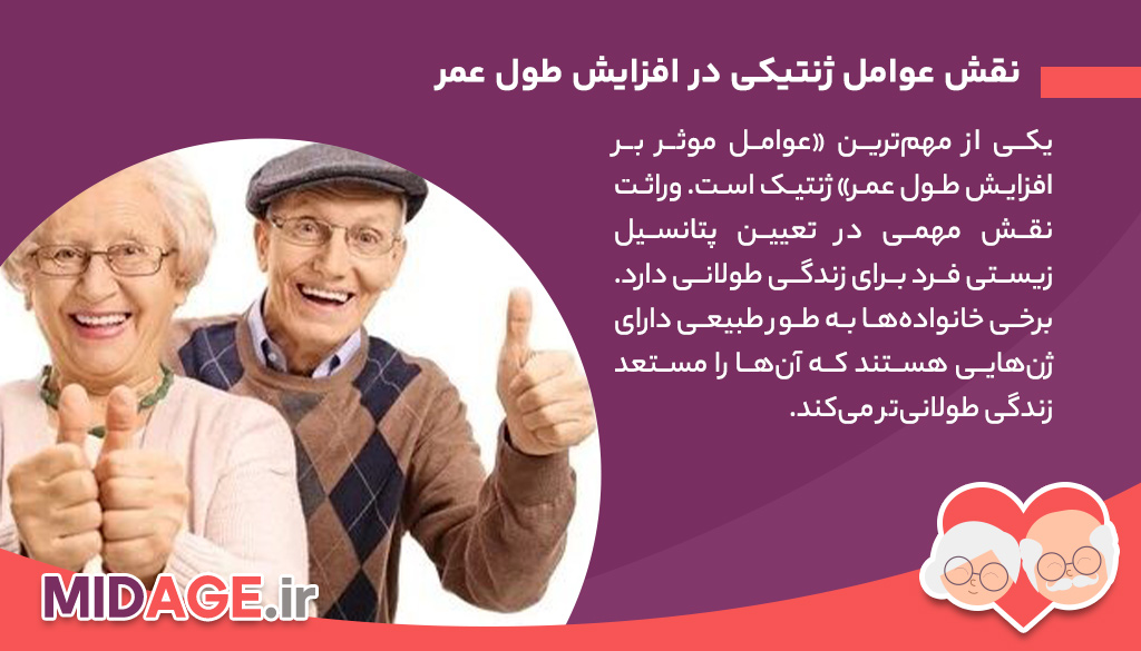 عوامل موثر بر افزایش طول عمر: راز زندگی طولانی و سالم عوامل موثر بر افزایش طول عمر: راز زندگی طولانی و سالم