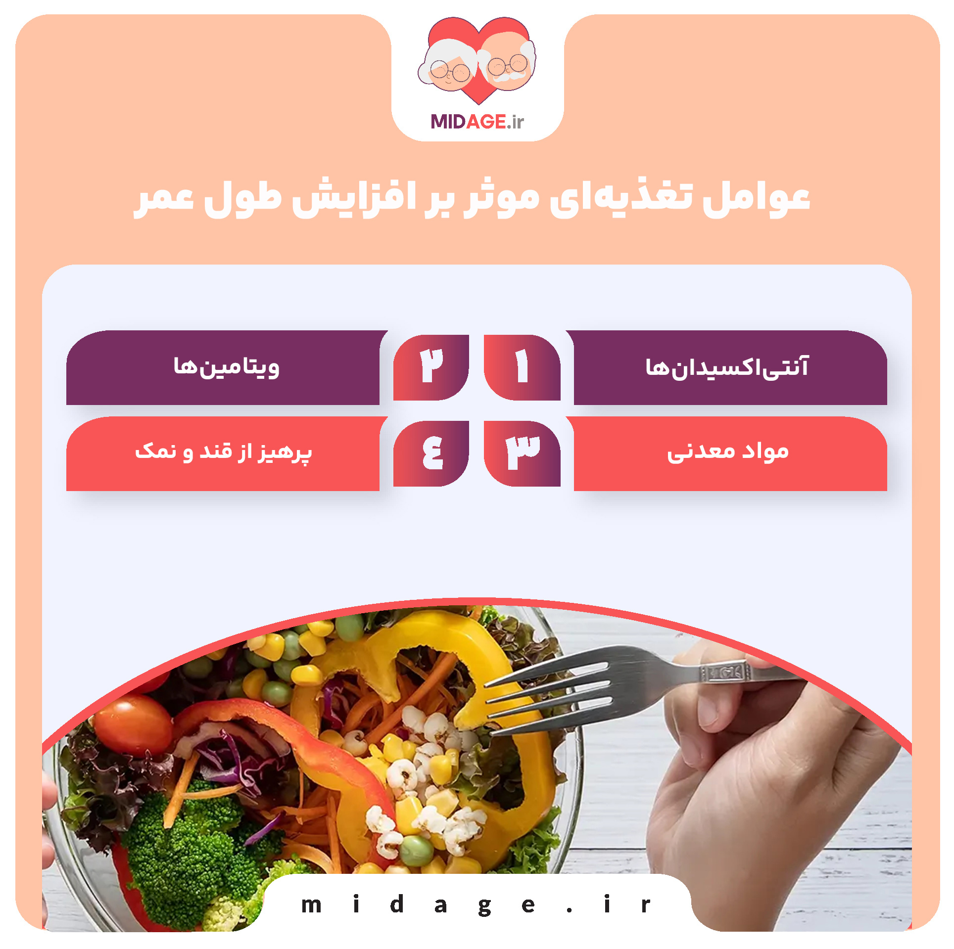 عوامل موثر بر افزایش طول عمر: راز زندگی طولانی و سالم عوامل موثر بر افزایش طول عمر: راز زندگی طولانی و سالم