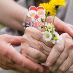 مشارکت داوطلبانه سالمندان در جامعه، نقش فعال سالمندان در توسعه اجتماعی و ارتقاء کیفیت زندگی