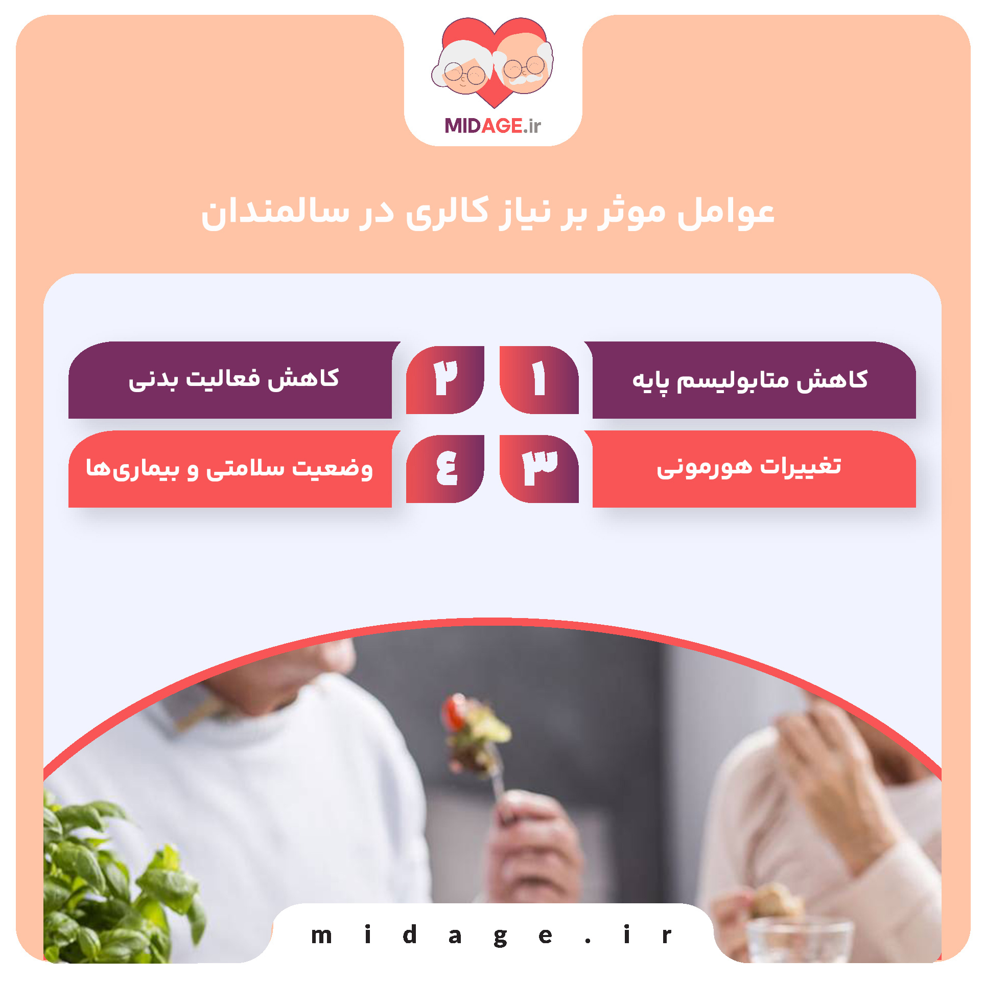 علائم تعیین کننده نیاز کالری در سالمندان کدامند؟ عوامل موثر بر نیاز کالری در سالمندان