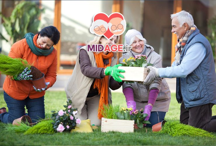 برنامه های تفریحی در سالمندی+ 5 برنامه مفرح