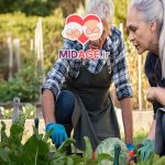 نقش فعالیت های فرهنگی در سلامت روان سالمندان