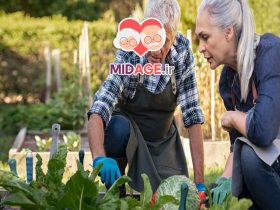 نقش فعالیت های فرهنگی در سلامت روان سالمندان