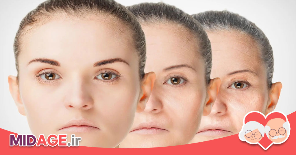 اتوفاژی در پیری: نقش بازسازی سلولی در سالمندی