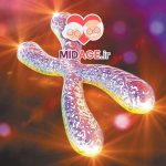 پیری سلولی؛ داستان پنهان درون بدن ما