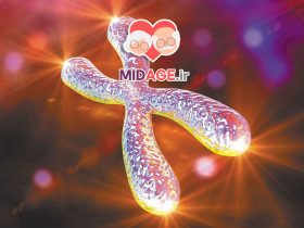 پیری سلولی؛ داستان پنهان درون بدن ما پیری سلولی؛ داستان پنهان درون بدن ما