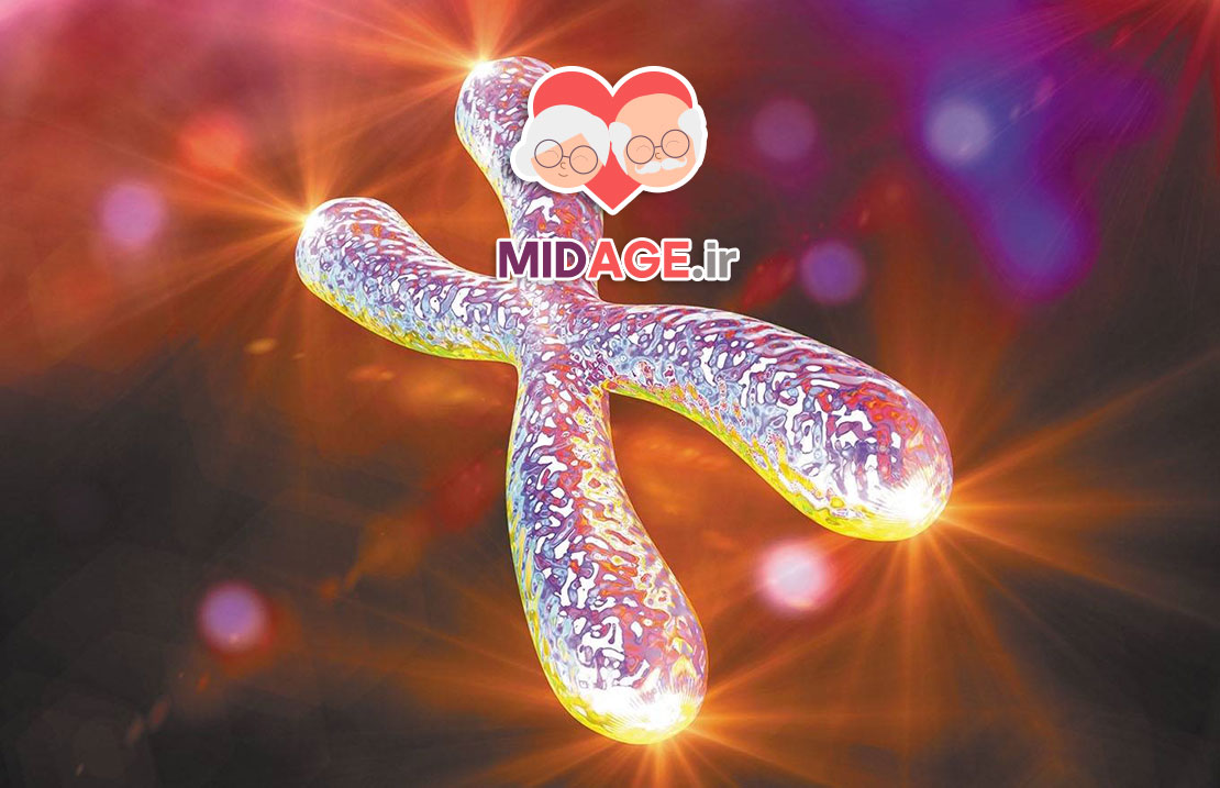 پیری سلولی؛ داستان پنهان درون بدن ما