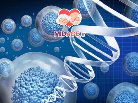 اختلال انرژی سلولی در پیری: مکانیسم‌ها، پیامدها و راهکارهای پیشگیری