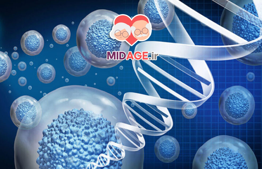 اختلال انرژی سلولی در پیری: مکانیسم‌ها، پیامدها و راهکارهای پیشگیری