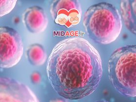 سلول های بنیادی در پیری: کلید بازسازی و سلامت سالمندان