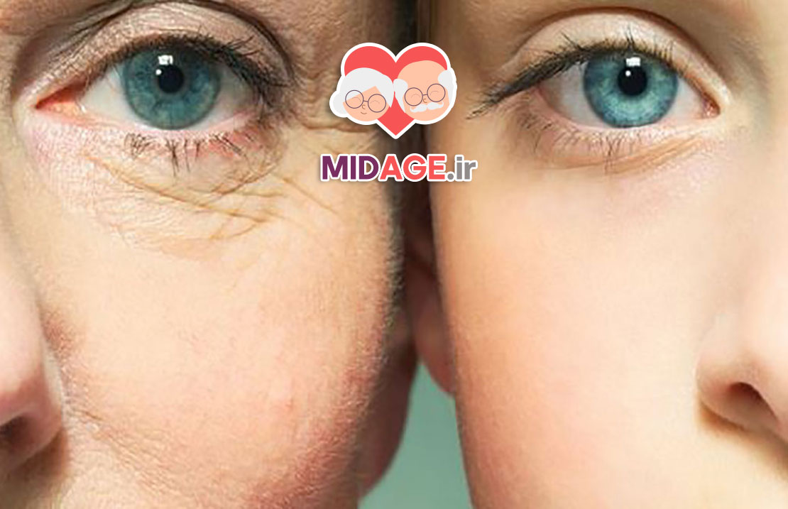 تئوری های پیری؛ راز دیرینهی فرسودگی بدن انسان تئوری های پیری؛ راز دیرینهی فرسودگی بدن انسان