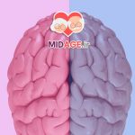 پیری قشر پیش پیشانی در تصمیم گیری