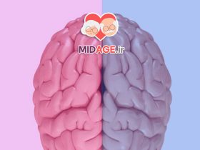 پیری قشر پیش پیشانی در تصمیم گیری