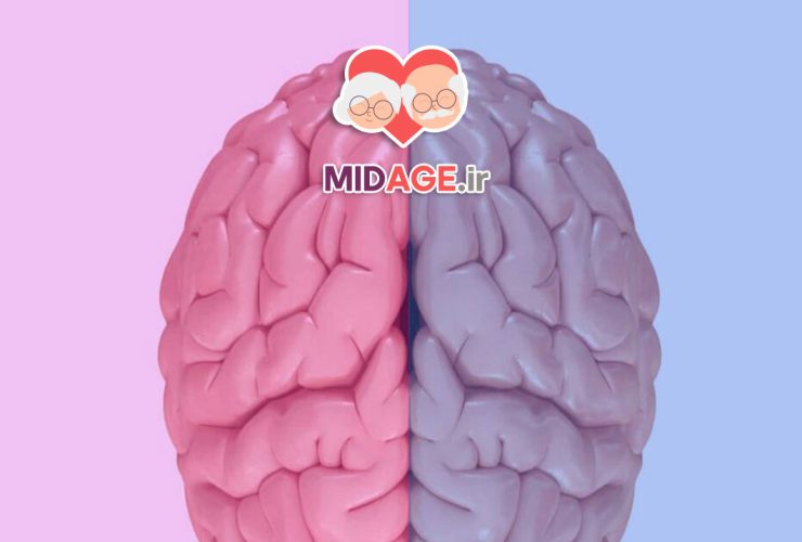 پیری قشر پیش پیشانی در تصمیم گیری