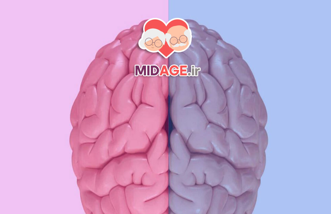 پیری قشر پیش پیشانی در تصمیم گیری