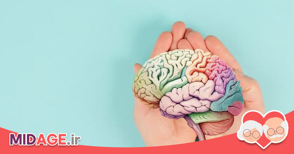 پیری قشر پیش پیشانی در تصمیم گیری