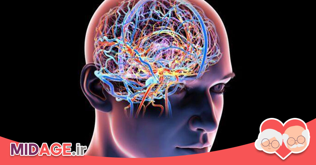 ذخیره شناختی در تاب آوری مغز در پیری ذخیره شناختی در تاب آوری مغز در پیری