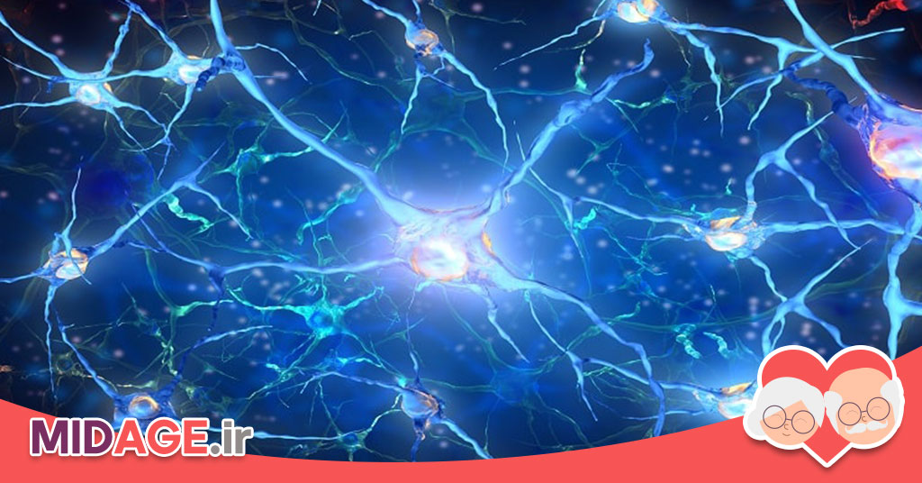 آموزش شناختی در اتصال عصبی: مکانیسم‌ها، کاربردها و اثرات