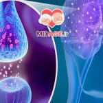 آموزش شناختی در اتصال عصبی: مکانیسم‌ها، کاربردها و اثرات