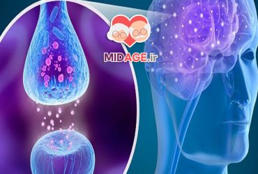 آموزش شناختی در اتصال عصبی: مکانیسم‌ها، کاربردها و اثرات