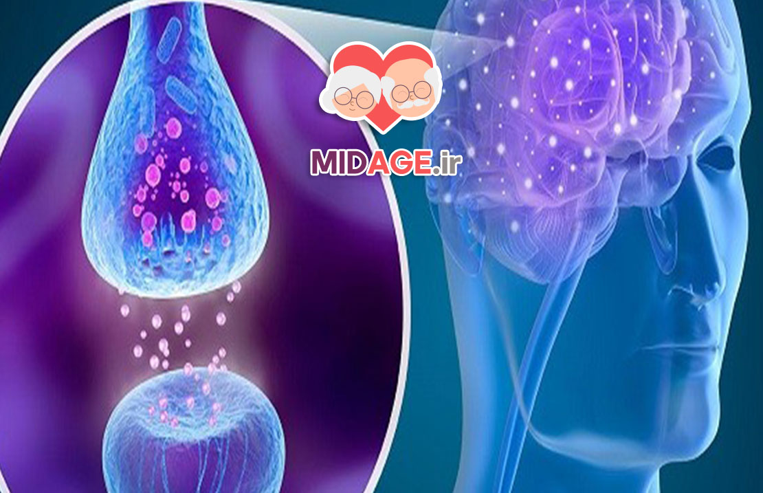 آموزش شناختی در اتصال عصبی: مکانیسم‌ها، کاربردها و اثرات