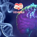 شتاب سنی اپی ژنتیکی چیست؟