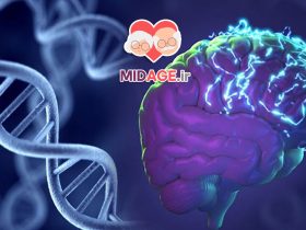 شتاب سنی اپی ژنتیکی چیست؟