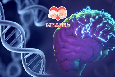 شتاب سنی اپی ژنتیکی چیست؟