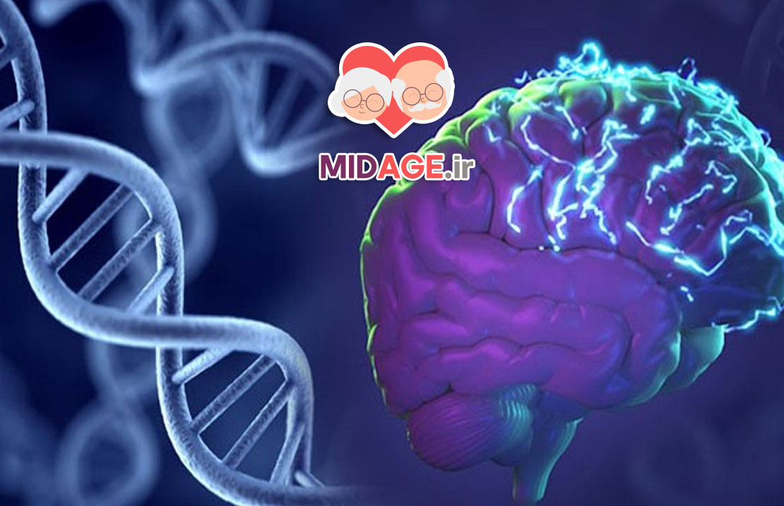 شتاب سنی اپی ژنتیکی چیست؟