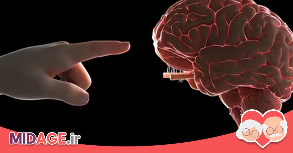 شتاب سنی اپی ژنتیکی چیست؟