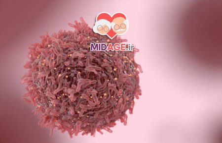 القای اتوفاژی توسط ترکیبات طبیعی: مکانیسم‌ها، کاربردها و مزایا