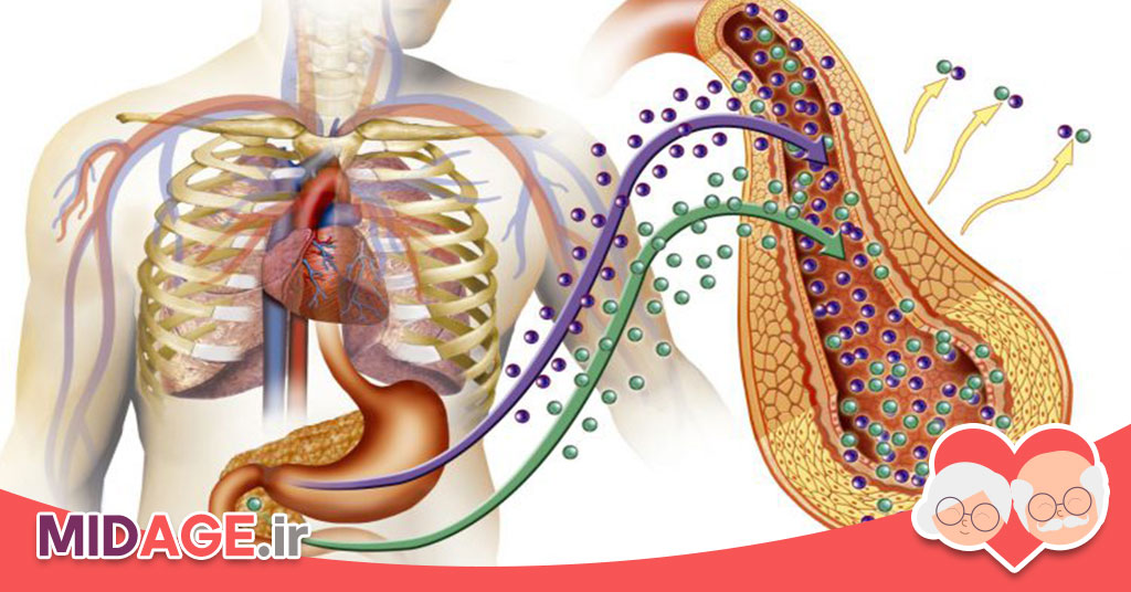 اختلال میتوکندری در سندرم متابولیک در میانسالی اختلال میتوکندری در سندرم متابولیک در میانسالی