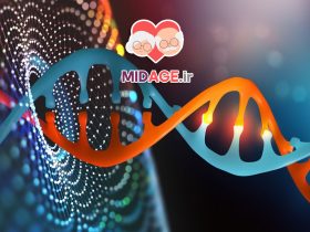 مسیرهای مولکولی سیگنالینگ طول عمر: کلید درک فرآیند پیری و افزایش کیفیت زندگی