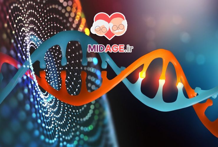 مسیرهای مولکولی سیگنالینگ طول عمر: کلید درک فرآیند پیری و افزایش کیفیت زندگی