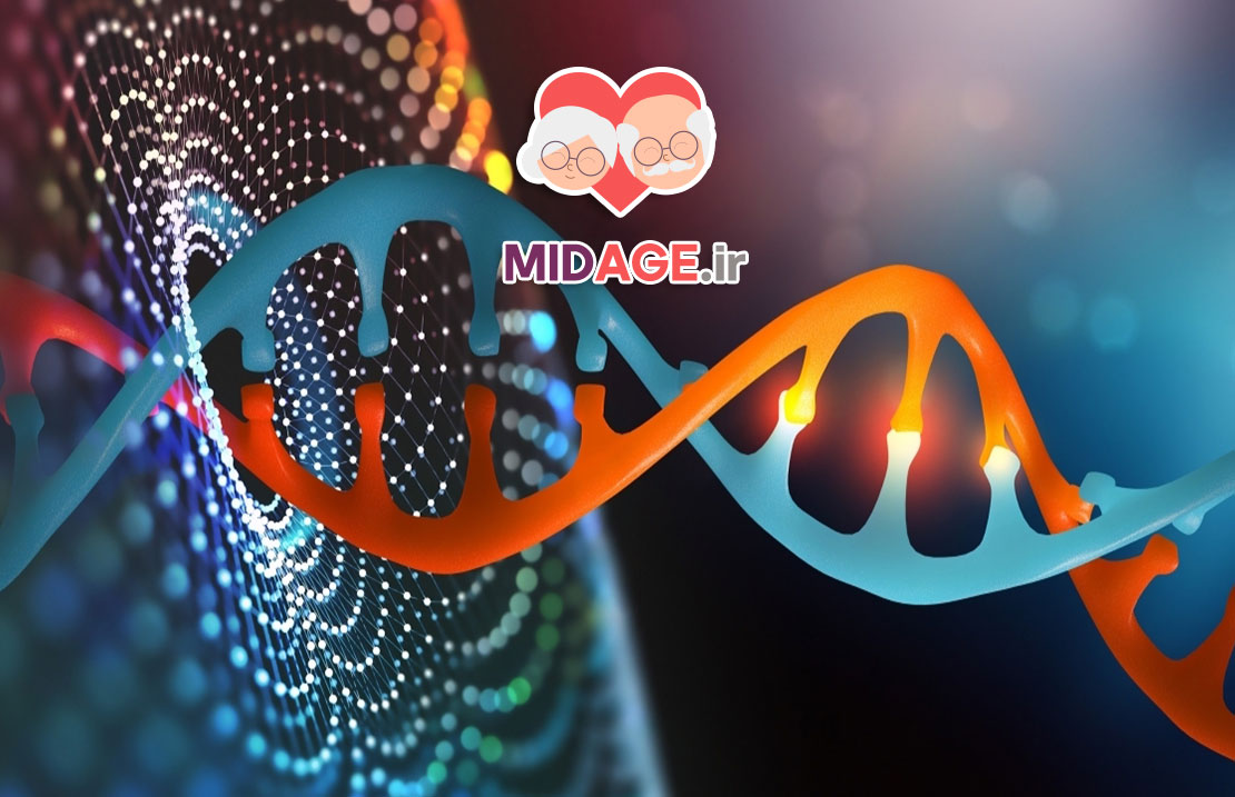 مسیرهای مولکولی سیگنالینگ طول عمر: کلید درک فرآیند پیری و افزایش کیفیت زندگی